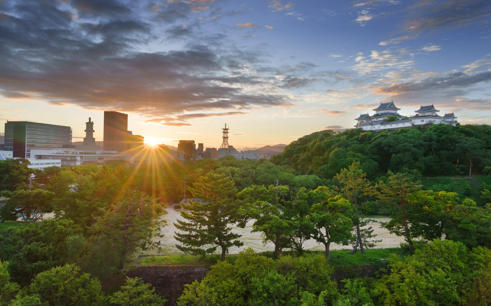 Meta Platforms, Inc. (NASDAQ: META) affluence mgt wakayama japan with the hilltop wakayama castle img